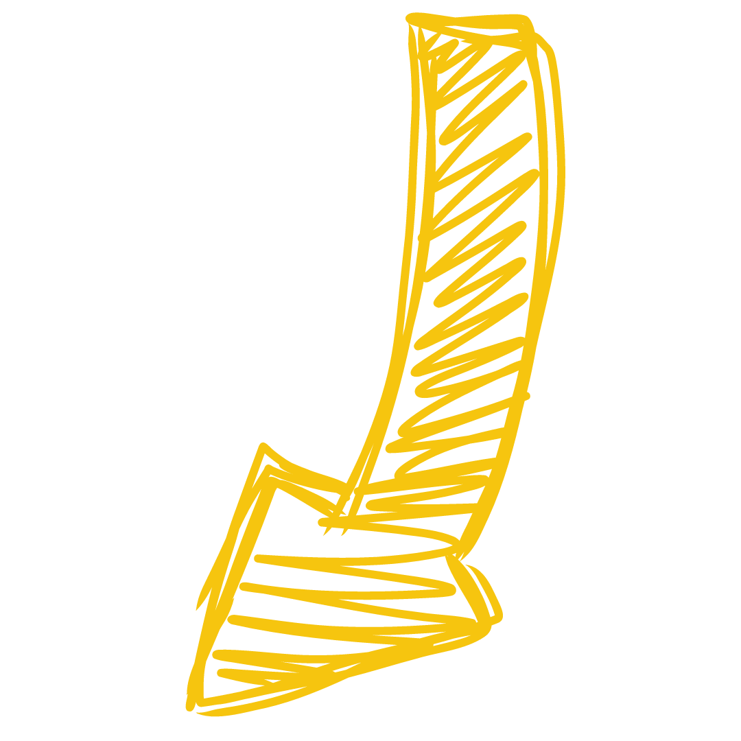 Summer Programs - Middle Tree